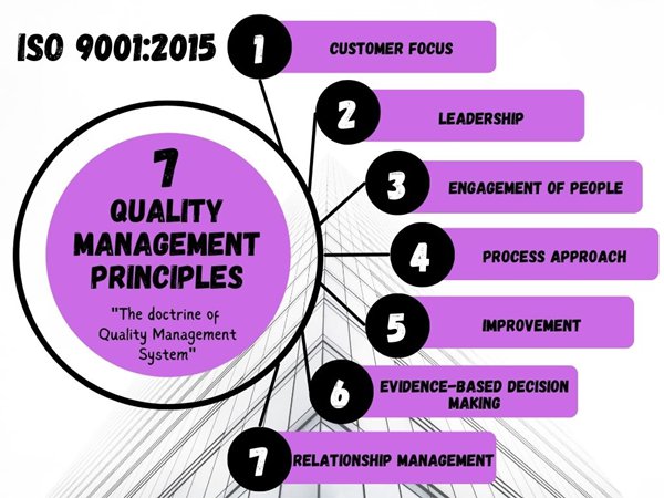 7 quality management principles