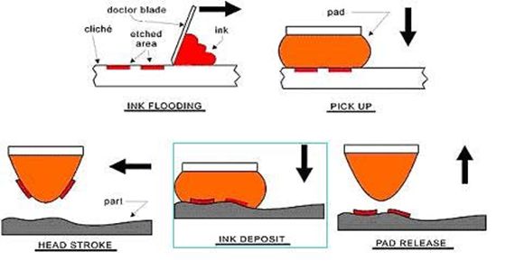 What is Screen Printing? Process, Types, and Benefits - WayKen