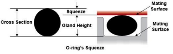 the o ring squeeze